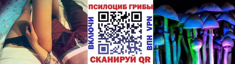 купить наркоту Белый Псилоцибиновые грибы GOLDEN TEACHER